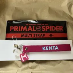 PRIMAL SPIDER MULTI STRAP -B- 神谷健太