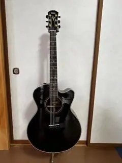 satosato 様限定　YAMAHA CPX1200II TBL Amazon | ヤマハ エレアコギター CPX1200II TBL | エレアコ