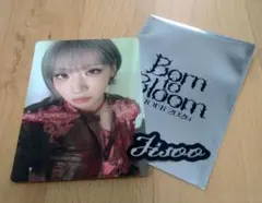 HANA Born to Bloom　 トレカ　フォトカード&ステッカー　ジス