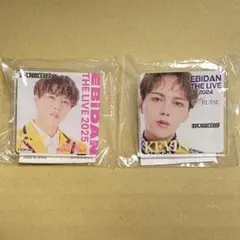 Item thumbnail for item d1463a24-6680-4796-b7a3-d918a3a70044