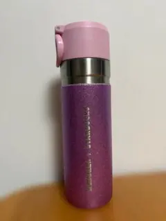 スターバックス　スタバ　タンブラー　スタンレー　2024 2本セット