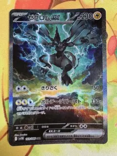 2025年最新】ゼクロム ex srの人気アイテム - メルカリ