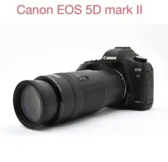 2026年最新】canon eos 5d mark ii レンズの人気アイテム - メルカリ