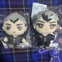 ハイキュー 北信介 ぬいパル セガラッキーくじ ぬい