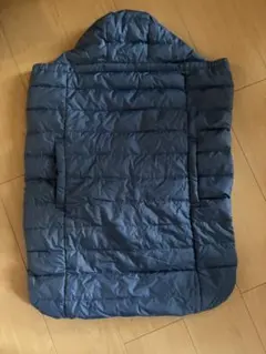 Item thumbnail for item ecdb7271-45ac-4759-92be-aad73677046c