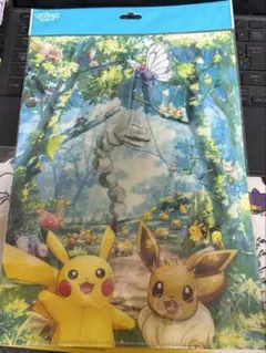 ポケパークカントー 限定 ピカチュウ イーブイ ノート - メルカリ