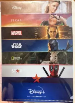 Disney+ クリアファイル 非売品　B5サイズのサムネイル