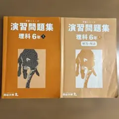 Item thumbnail for item cde0bc7f-31e6-4117-8af0-5ce5329c12aa