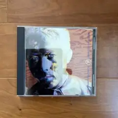 あま　平沢進 時空の水 新品未開封　LPレコード Amazon.co.jp: 時空の水 [Analog]: ミュージック