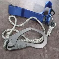 Item thumbnail for item 7e6097d5-fb96-49c1-9769-84d2307ce1a7