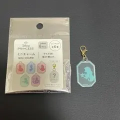 ディズニープリンセス ミニチャーム ジャスミン キャンドゥ