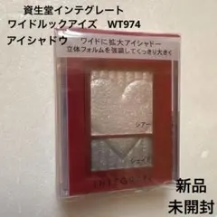 新品　INTEGRATE ワイドルックアイズ WT974 アイシャドウパレットのサムネイル