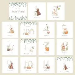 Item thumbnail for item d21ffe42-ead7-4ded-97d0-fa3b0e04337f