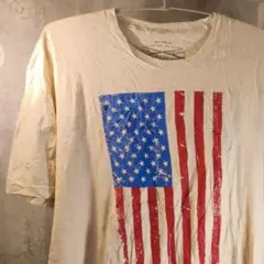 a*5様 ⭐️US古着⭐️GRUNT STYLE アメリカ国旗TシャツY2Kオー