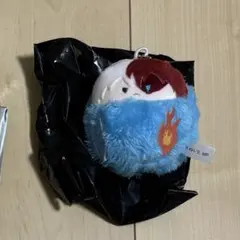 ヒロアカ 轟焦凍 くるみたぴぬい