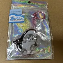 モフサンド　ぷっくりったいキーホルダー　キーホルダー　チャーム　シャチ　新品