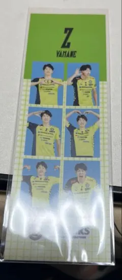 2026年最新】堺ブレイザーズの人気アイテム - メルカリ