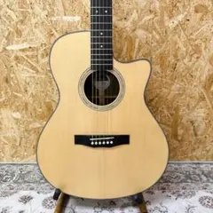 stafford SF-500C-MAHOGANY エレアコ (管理サイサ) - メルカリ