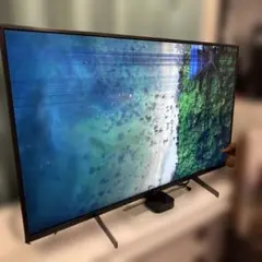 全国送料込❣️ティーズネット50型テレビ東芝製LSI搭載Wチューナ新品