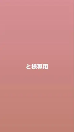 専用ページ
