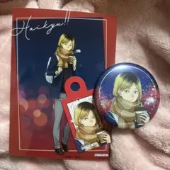 ハイキュー コスモワールド