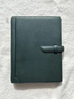 Item thumbnail for item 422c084e-4ed0-4df9-b2ae-0649baba5cb0