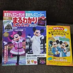 ディズニーランド　ガイドブックまとめ売り