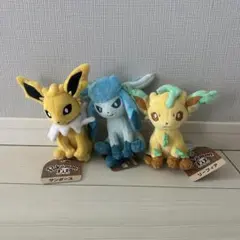 ポケモンfit 3点セット