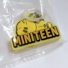 めじるし アクセサリー ミニティーン ホシ SEVENTEEN