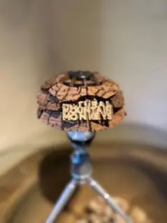 超希少】solol × koti BEAUTY&YOUTH別注モデル コティ ビューティー