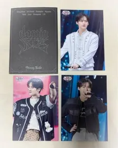 StrayKids/リノ/ラントレ/トレカ/dominATE/VR/SKZ