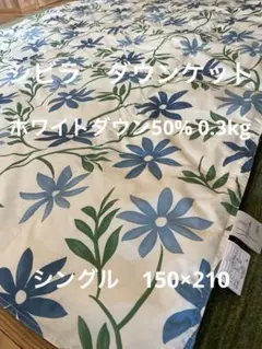 丸洗い可【シビラ】羽毛肌掛布団 ダウンケット（150×210）フロリーナ