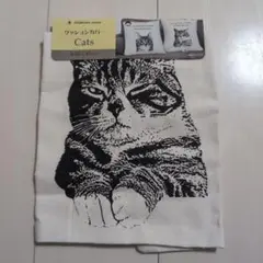 Item thumbnail for item e74ae4d4-8556-47d7-aee0-ba21c11082fd