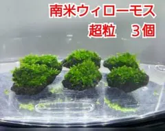 もこ様 リクエスト 2点 まとめ商品