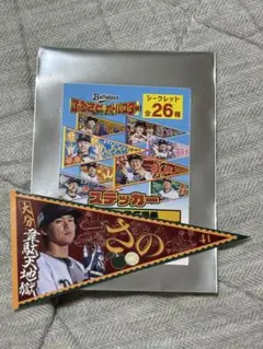 オリックスバファローズ 佐野皓大 ふるさとオールスター ステッカー