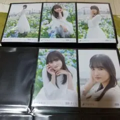 Item thumbnail for item 245cac7d-384a-45db-bc3a-7b2e105a73fb