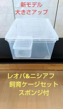 2025年最新】レプタイルボックス ワイドの人気アイテム - メルカリ