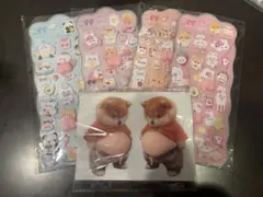 おなかシール2枚.おしりシール2枚セット