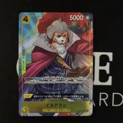 イヌアラシ UC パラレル OP06-100