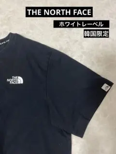 ノースフェイス Tシャツ 黒 L 韓国限定 スリーブロゴ 半袖