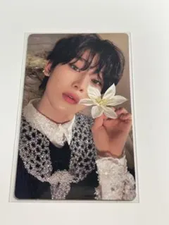 ソヌ orangeblood トレカ kalpa ver