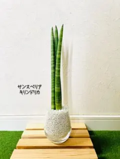 なゆ様 リクエスト 2点 まとめ商品