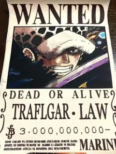 ロー　手配書　ポスター　One Piece Law Wanted Poster