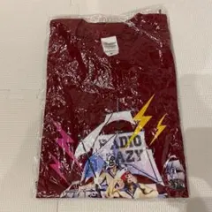 Radio Crazy 2013 Tシャツ Mサイズ