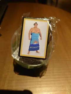 Item thumbnail for item 0e1dd629-2229-438a-9f75-e935ca1a6680