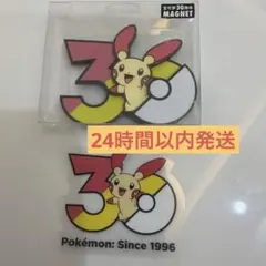 デンリュウ マグネット ポケモン 30周年 - メルカリ