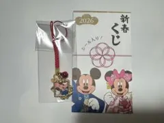 ミッキー ディズニーストア ストラップ 新春くじ 2026