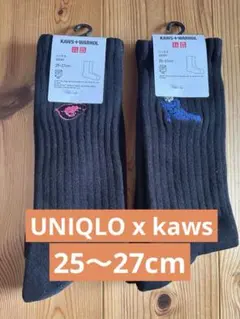 UNIQLO ユニクロ カウズ ウォーホル 靴下 ソックス 2セット