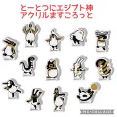 【新品】 古代エジプト展 限定 アヌビス バステト ぬいぐるみ 2点セット 古代エジプト展 会場限定 アヌビス バステト ぬいぐるみの通販 by M