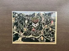 ハリー・ポッター ブラック家の家系図 グリーティングカードのサムネイル